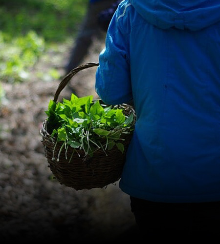 Home SUPPLIERS
AND
GROWERS
CLICK HERE