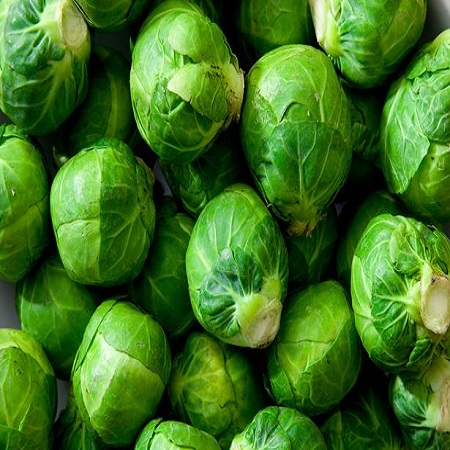 Sprouts
