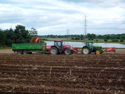 Growers & Suppliers