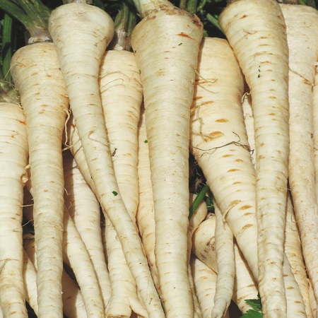 Piccolo Parsnips