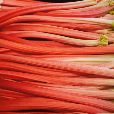 Outdoor Cheshire Rhubarb