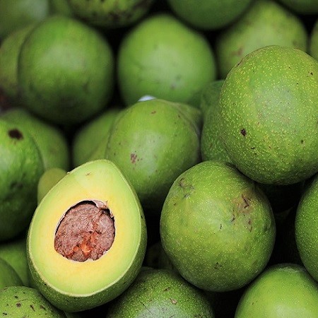 Avocados