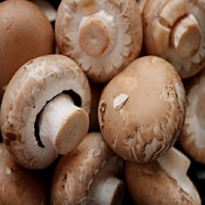 National Mushroom Month National Mushroom Month