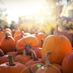 National Pumpkin Day National Pumpkin Day