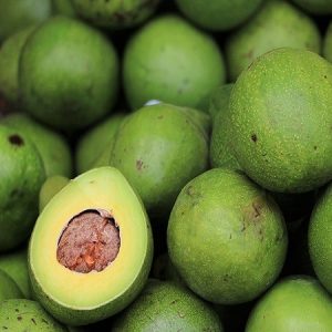Avocados Avocados