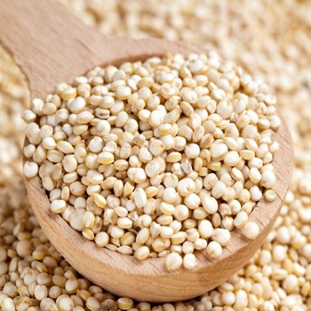 High in Protein Produce High in Protein Produce